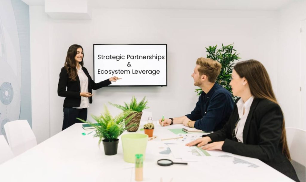 Strategic Partnerships & Ecosystem Leverage