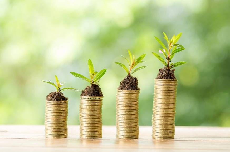 Unique Investment Proposition