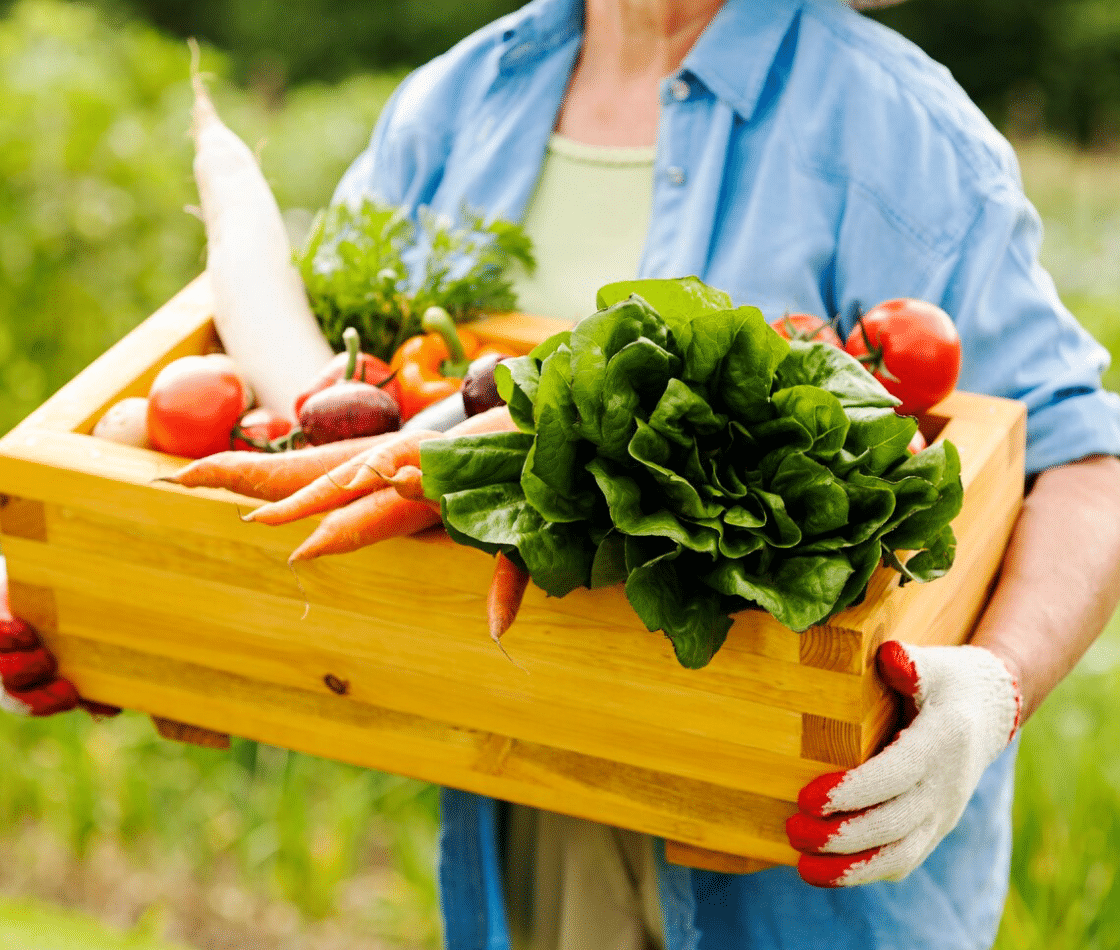Agricultural food products including fresh fruits, vegetables, grains, and farm produce